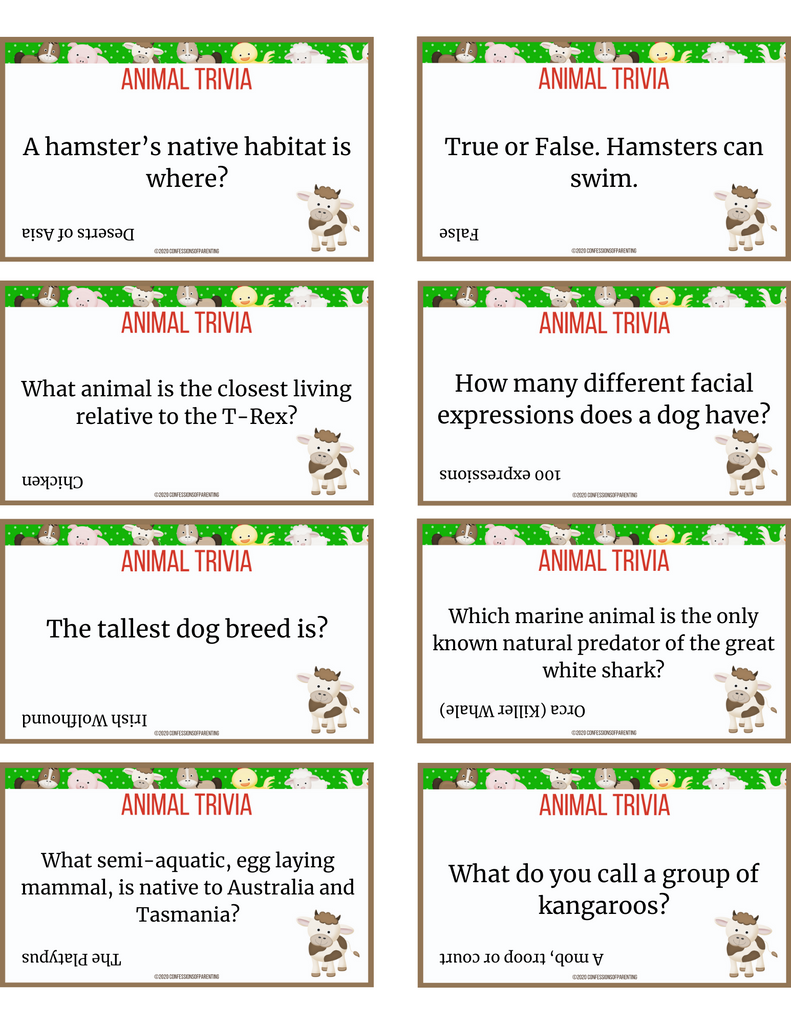 Animal Trivia for Kids Cards – MicheleTripple