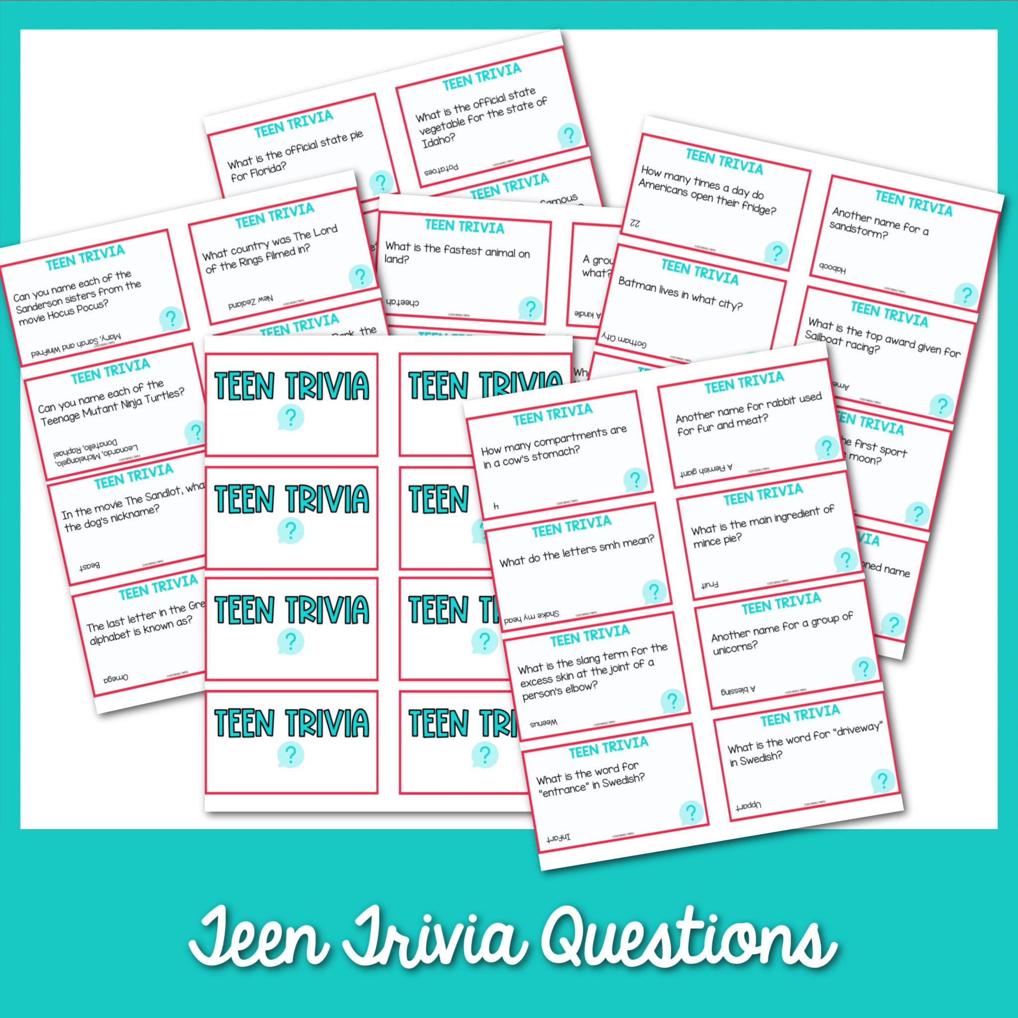 Trivia Questions Cards